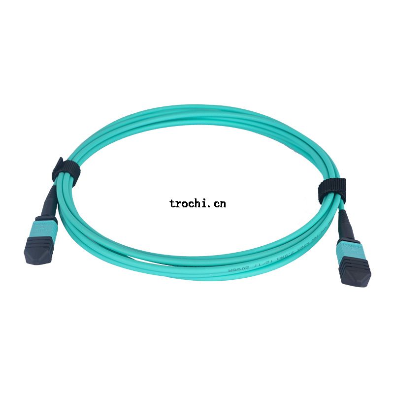 MPO patch cord